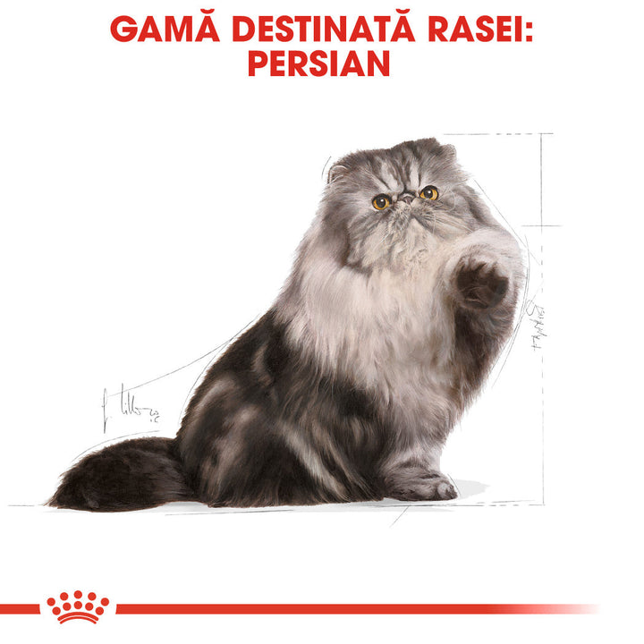 Royal Canin Persian Adult hrana uscata pisica, 400 g