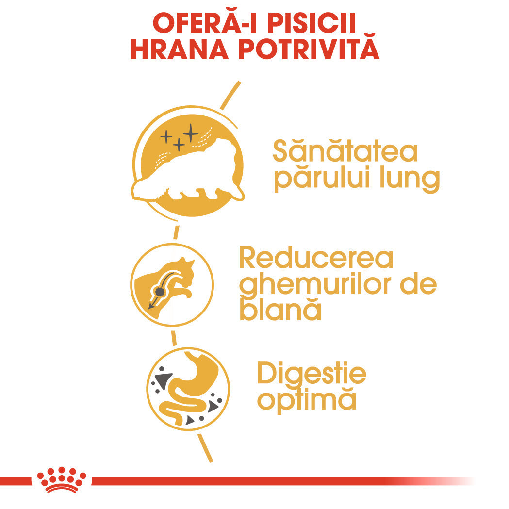Royal Canin Persian Adult hrana uscata pisica, 10 kg