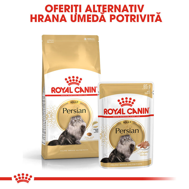 Royal Canin Persian Adult hrana uscata pisica, 10 kg