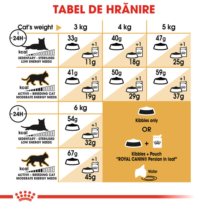 Royal Canin Persian Adult hrana uscata pisica, 400 g