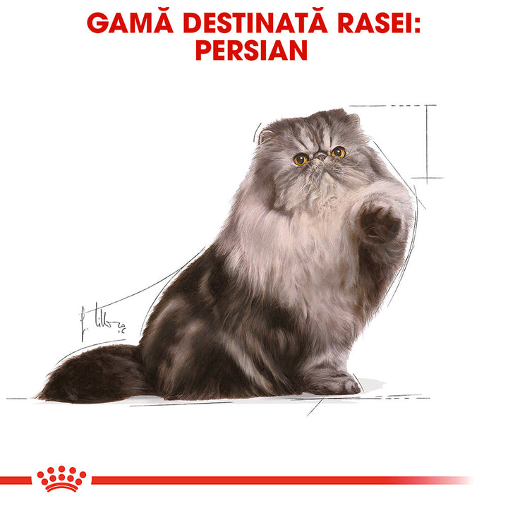 Royal Canin Persian Adult hrana umeda pisica (pate), 12 x 85 g