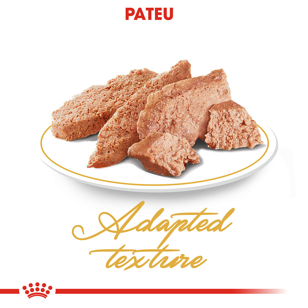 Royal Canin Persian Adult hrana umeda pisica (pate), 12 x 85 g