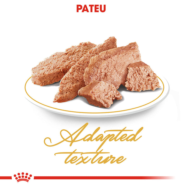 Royal Canin Persian Adult hrana umeda pisica (pate), 12 x 85 g