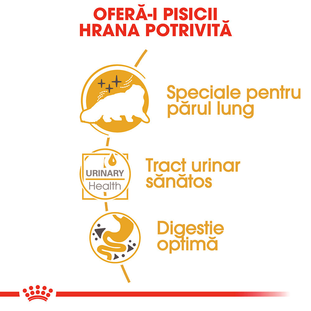 Royal Canin Persian Adult hrana umeda pisica (pate), 12 x 85 g