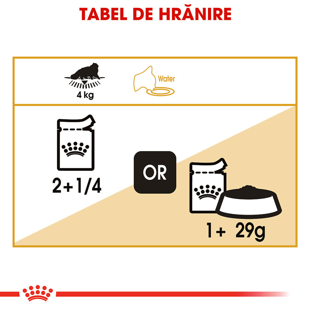 Royal Canin Persian Adult hrana umeda pisica (pate), 12 x 85 g