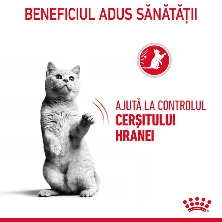 Royal Canin Appetite Control Care Adult hrana uscata pisica sterilizata, reglarea apetitului, 400 gr