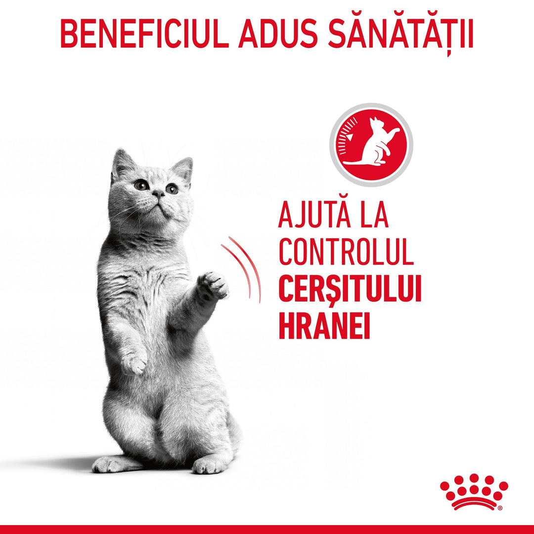Royal Canin Appetite Control Care, hrana umeda pisici, adult sterilizat, reglarea apetitului, (in sos), 85g x 12