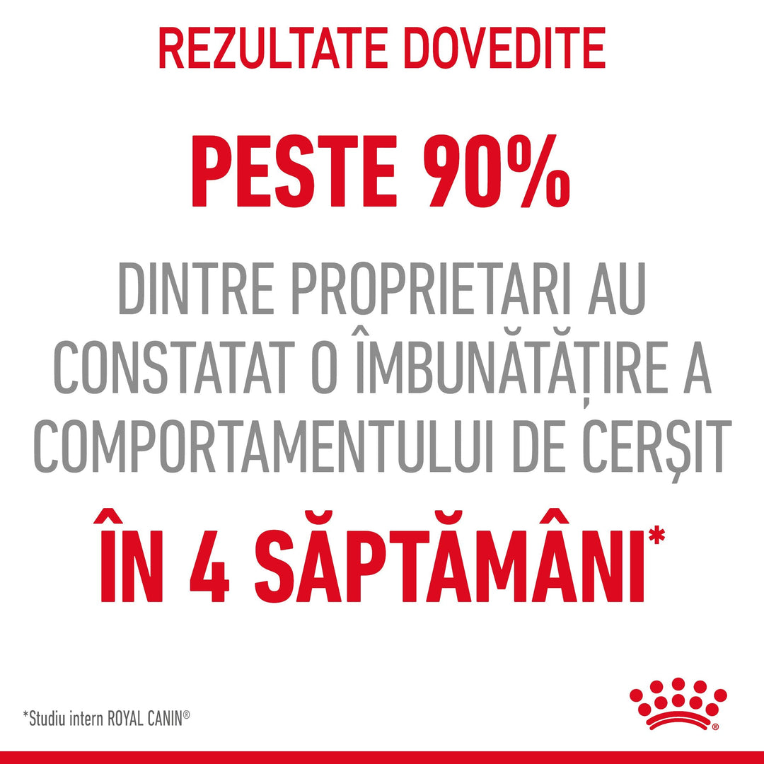 Hrana Umeda Pisici Royal Canin 293950 | Appetite Control, Adult, 85g