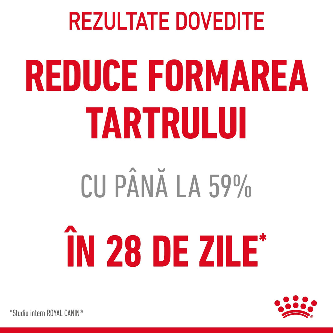 Royal Canin Oral Care Adult hrana uscata pisica, reducerea formarii tartrului, 8 kg