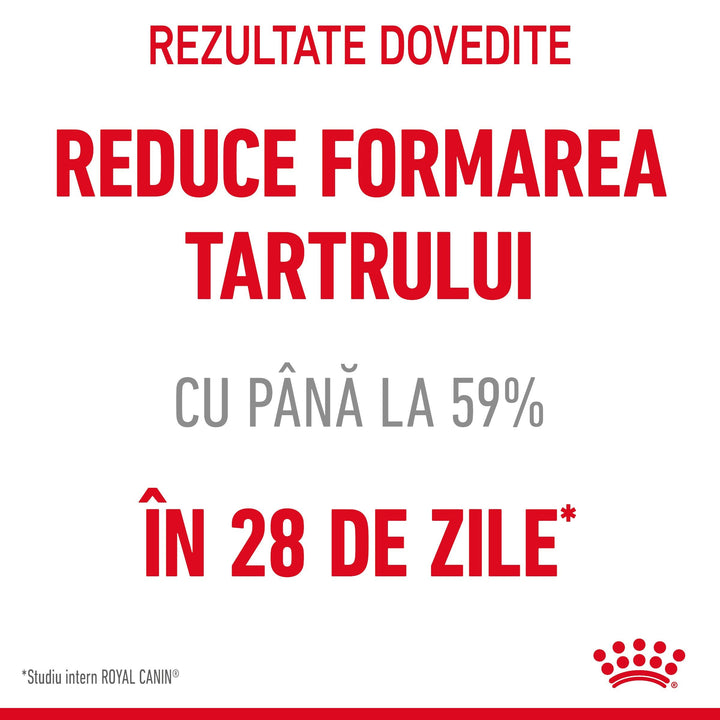 Royal Canin Oral Care Adult hrana uscata pisica, reducerea formarii tartrului, 8 kg