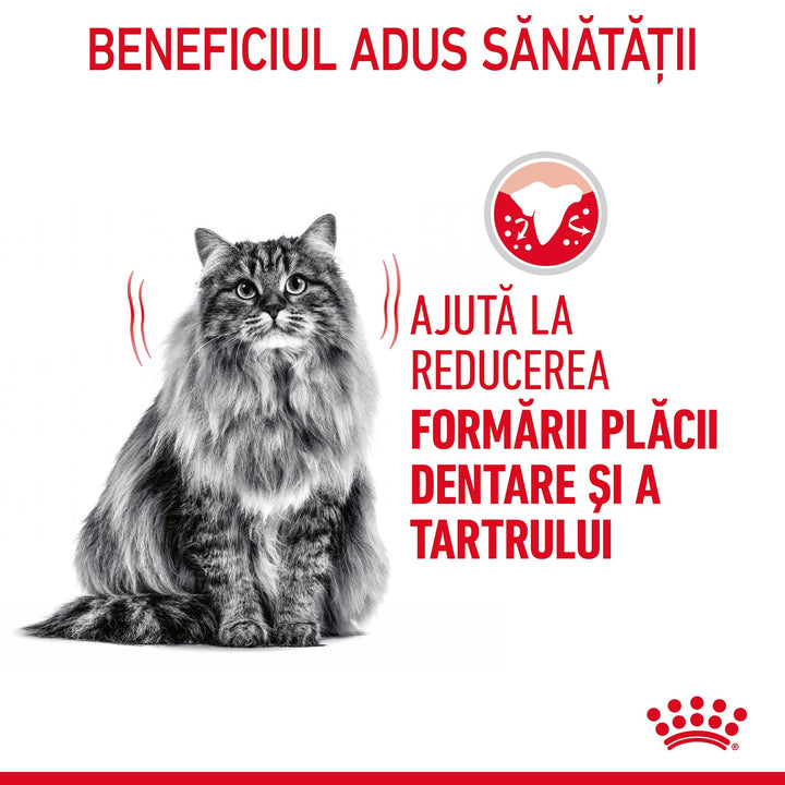 Royal Canin Oral Care Adult hrana uscata pisica, reducerea formarii tartrului, 1.5 kg