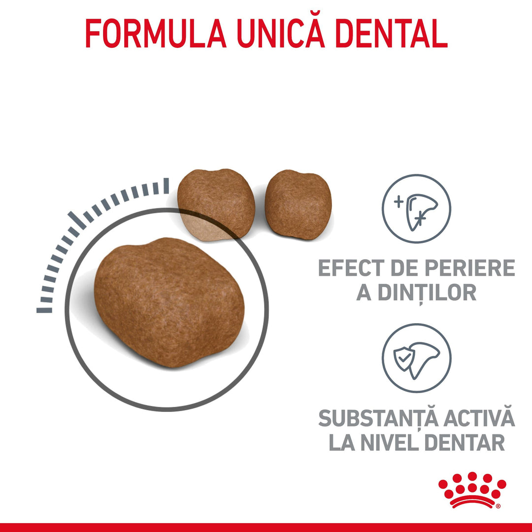 Royal Canin Oral Care Adult hrana uscata pisica, reducerea formarii tartrului, 400 g