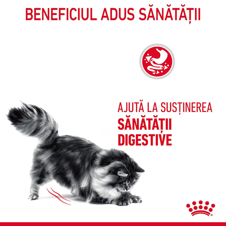 Royal Canin Digestive Care Adult hrana uscata pisica, confort digestiv, 400 g
