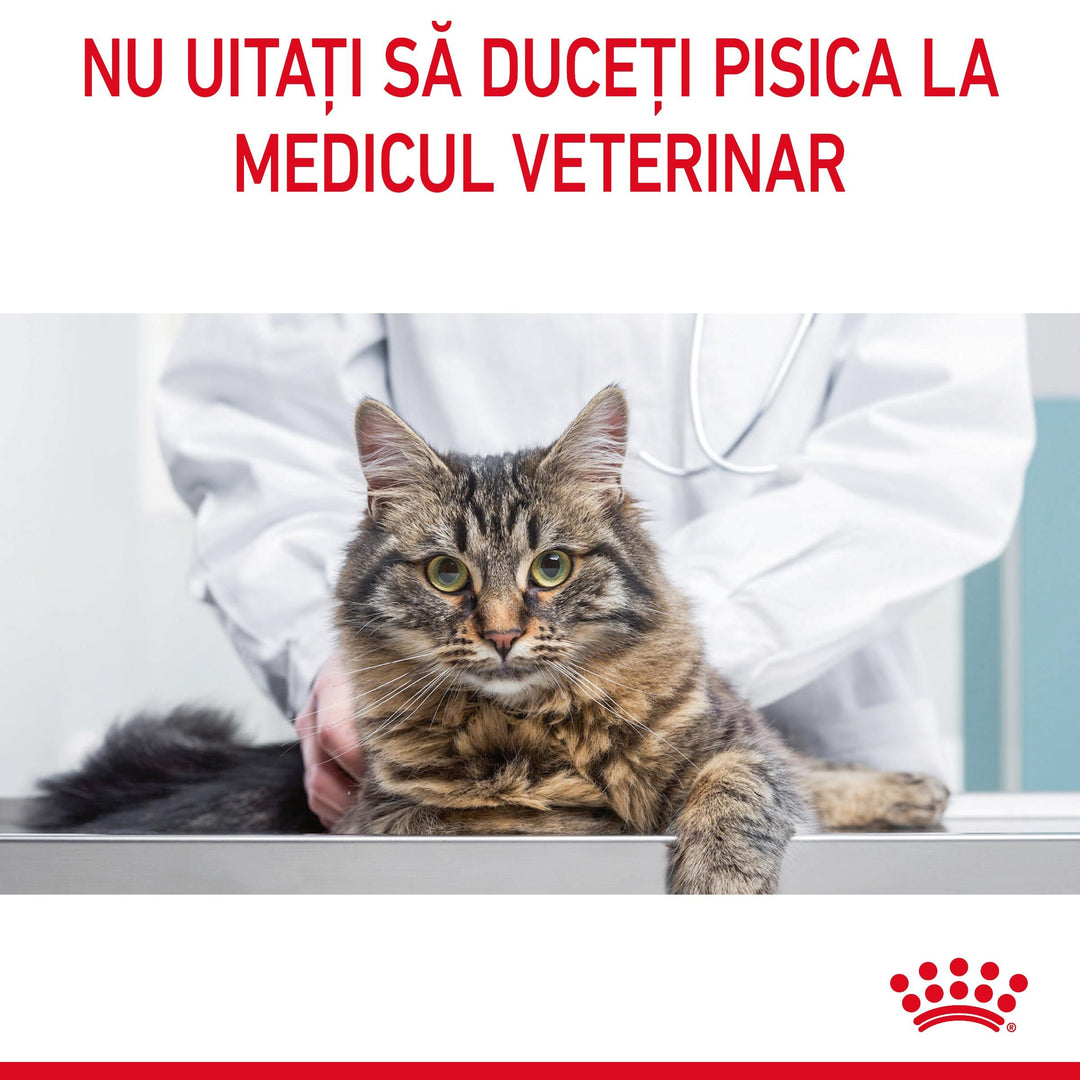 Hrana Uscata Pisici Royal Canin 221030 | Digestive Care, 400g