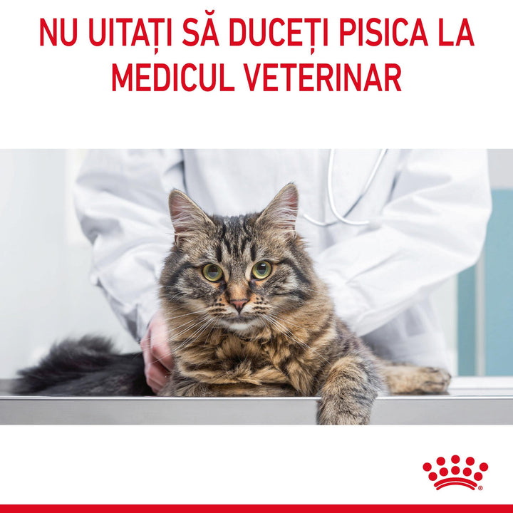 Hrana Uscata Pisici Royal Canin 221060 | Digestive Care, 2kg