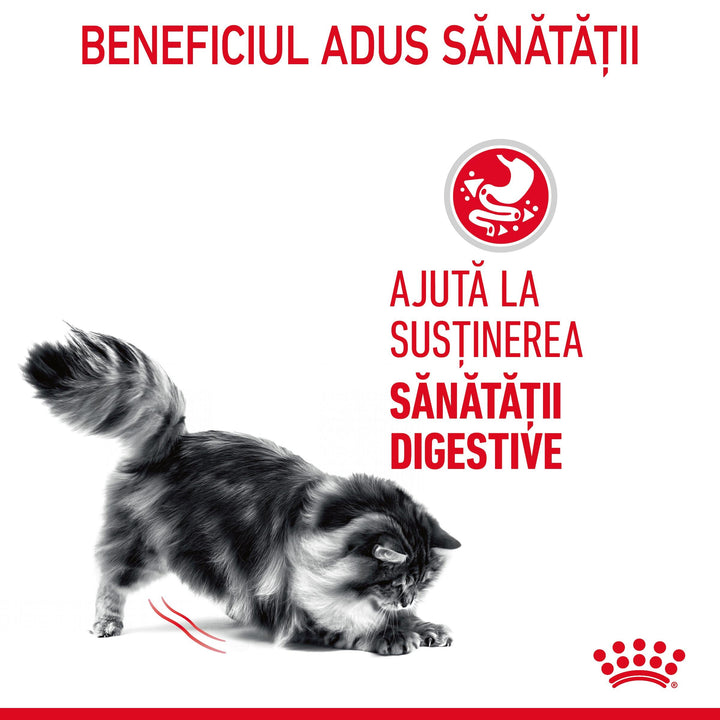 Royal Canin Digest Sensitive Care Adult hrana umeda pisica, confort digestiv (in sos), 12 x 85 g