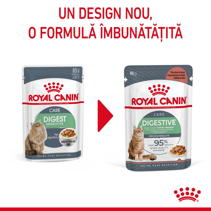 Hrana Umeda Pisici Royal Canin AFJ08 | Digest, 85g