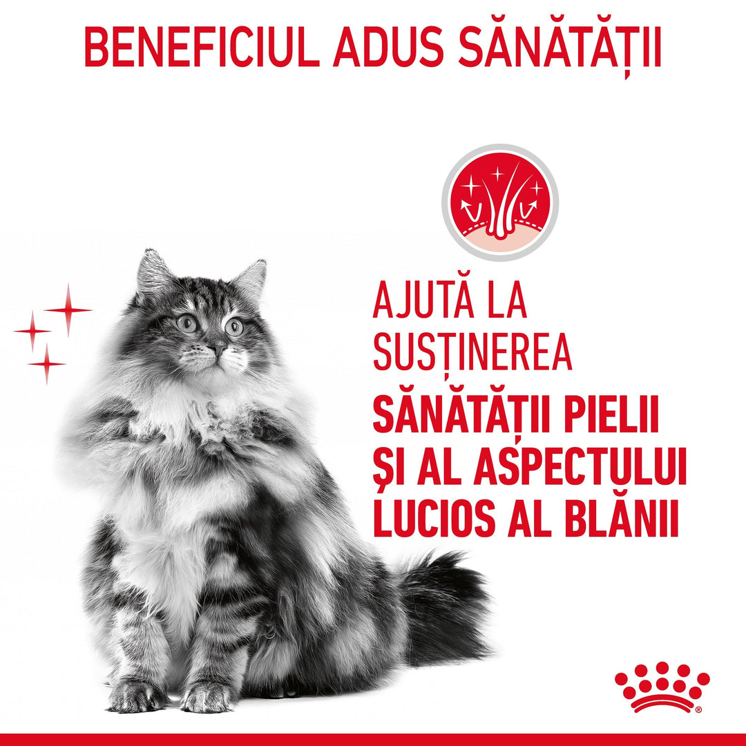Royal Canin Hair &amp; Skin Care Adult hrana uscata pisica, piele si blana, 2 kg