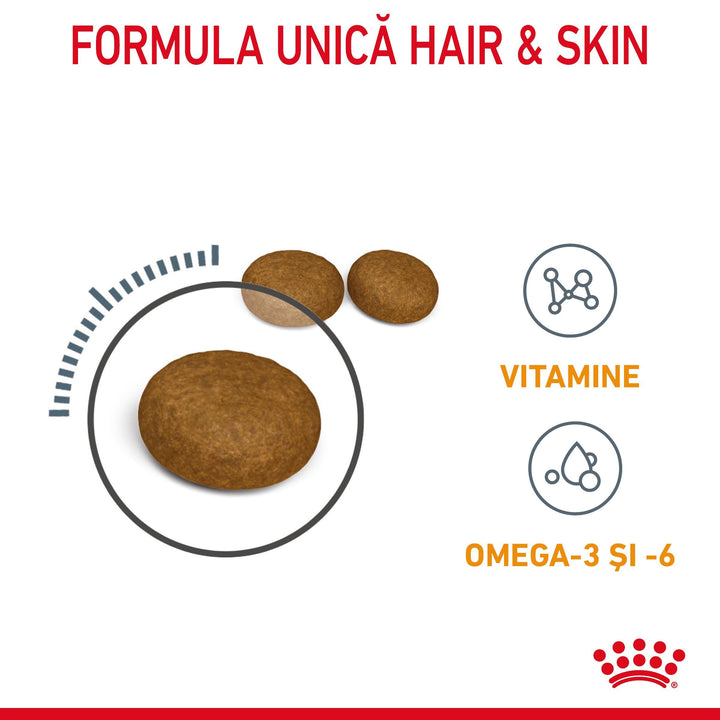Royal Canin Hair &amp; Skin Care Adult hrana uscata pisica, piele si blana, 10 kg