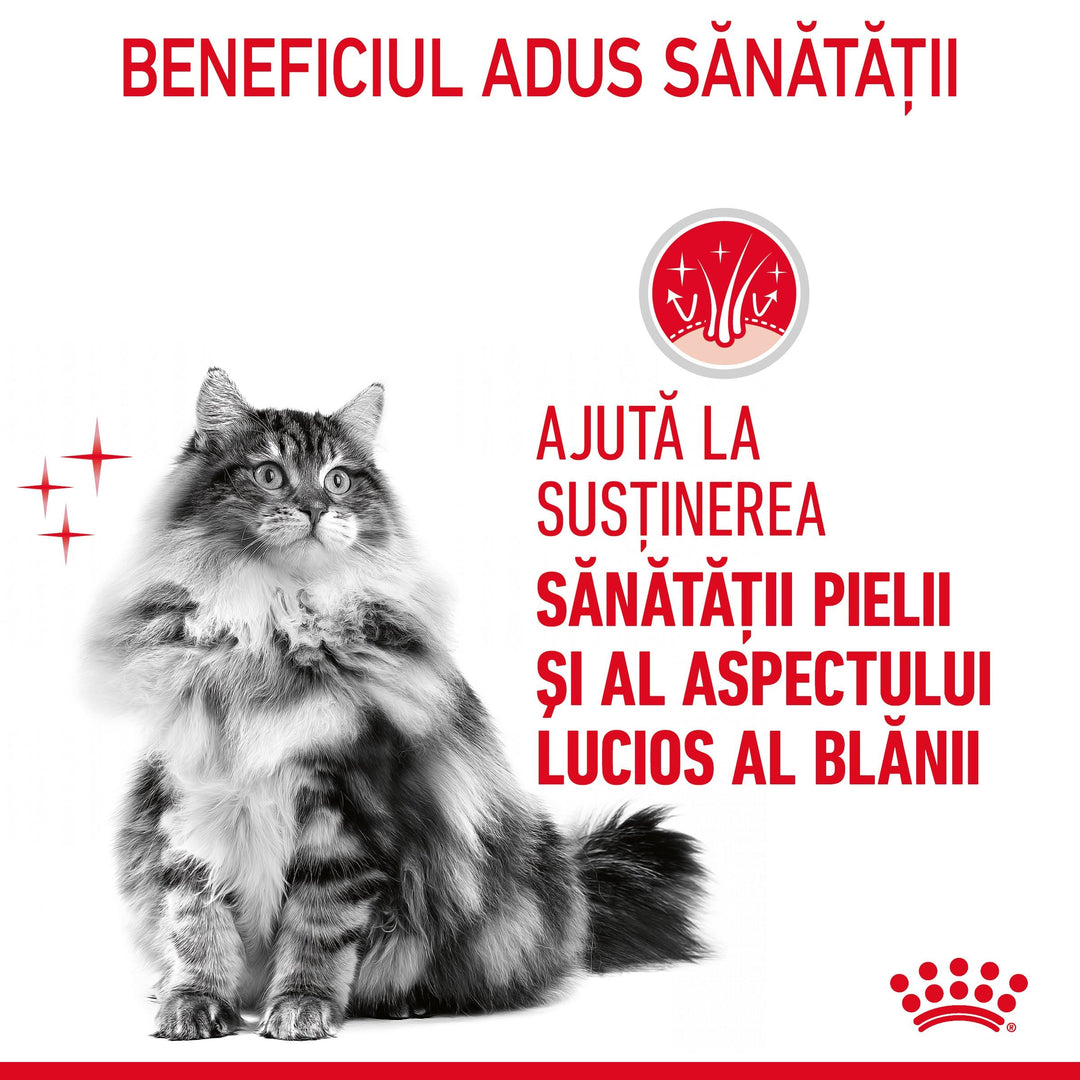 Royal Canin Hair&amp;Skin Care Adult hrana umeda pisica, piele si blana (in sos), 12 x 85 g