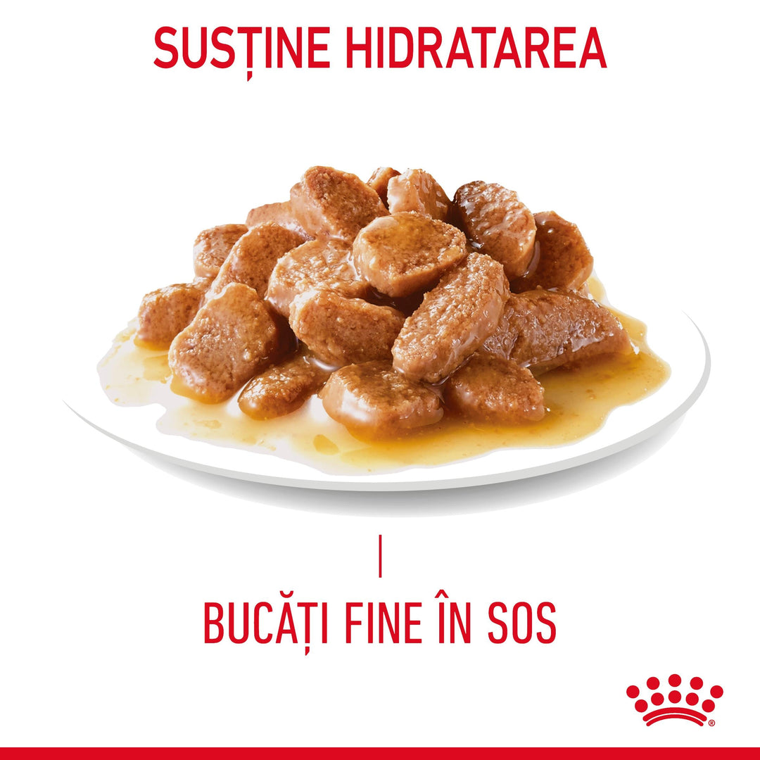 Royal Canin Hair &amp; Skin Care Adult hrana umeda pisica, piele si blana (in sos), 12 x 85 g