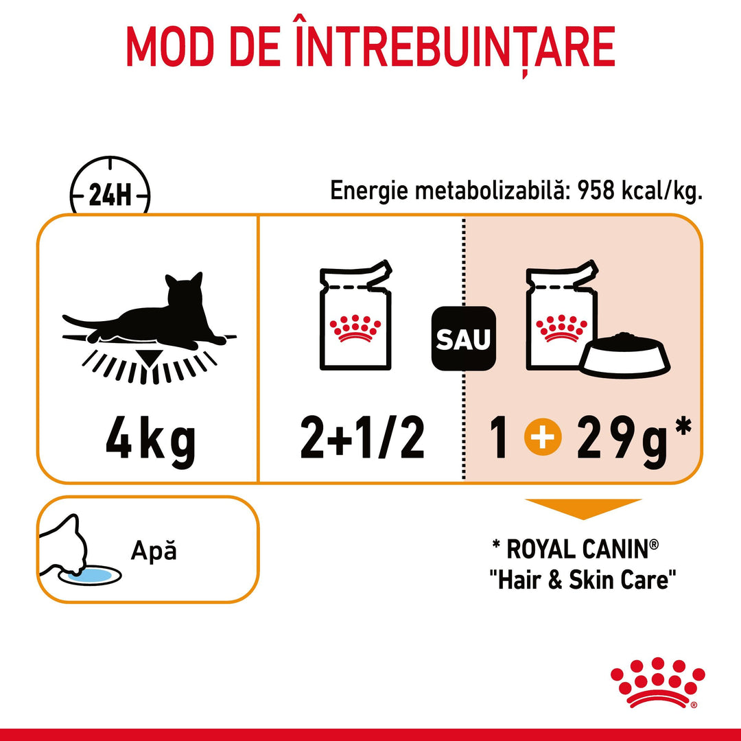 Hrana Umeda Pisici Royal Canin CW36R | Piele, Blana, 85g