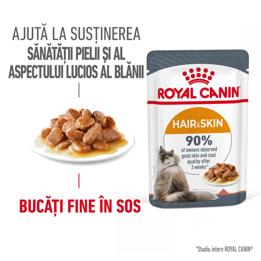 Royal Canin Hair & Skin Care Adult hrana umeda pisica, piele si blana (in sos), 12 x 85 g