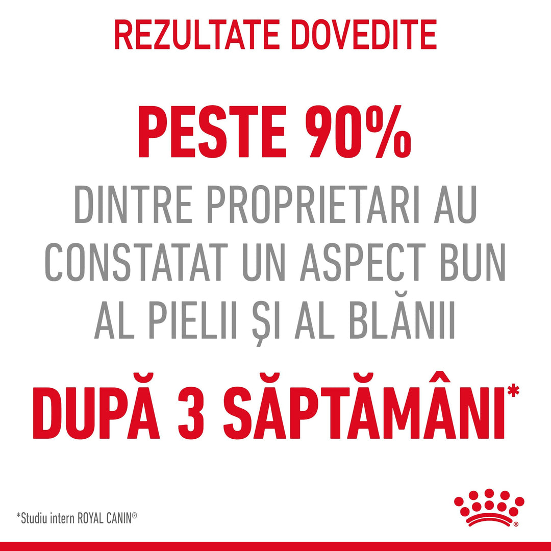 Hrana Umeda Pisici Royal Canin CW36R | Piele, Blana, 85g