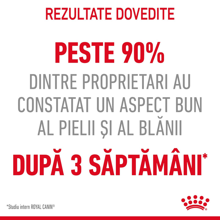 Hrana Umeda Pisici Royal Canin CW36R | Piele, Blana, 85g