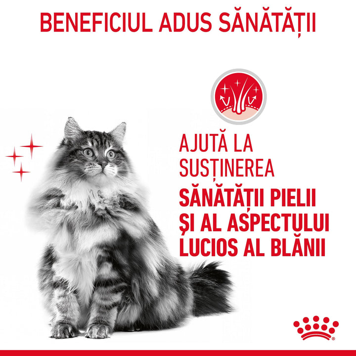 Royal Canin Hair&amp;Skin Care Adult hrana umeda pisica, piele si blana (in aspic), 12 x 85 g