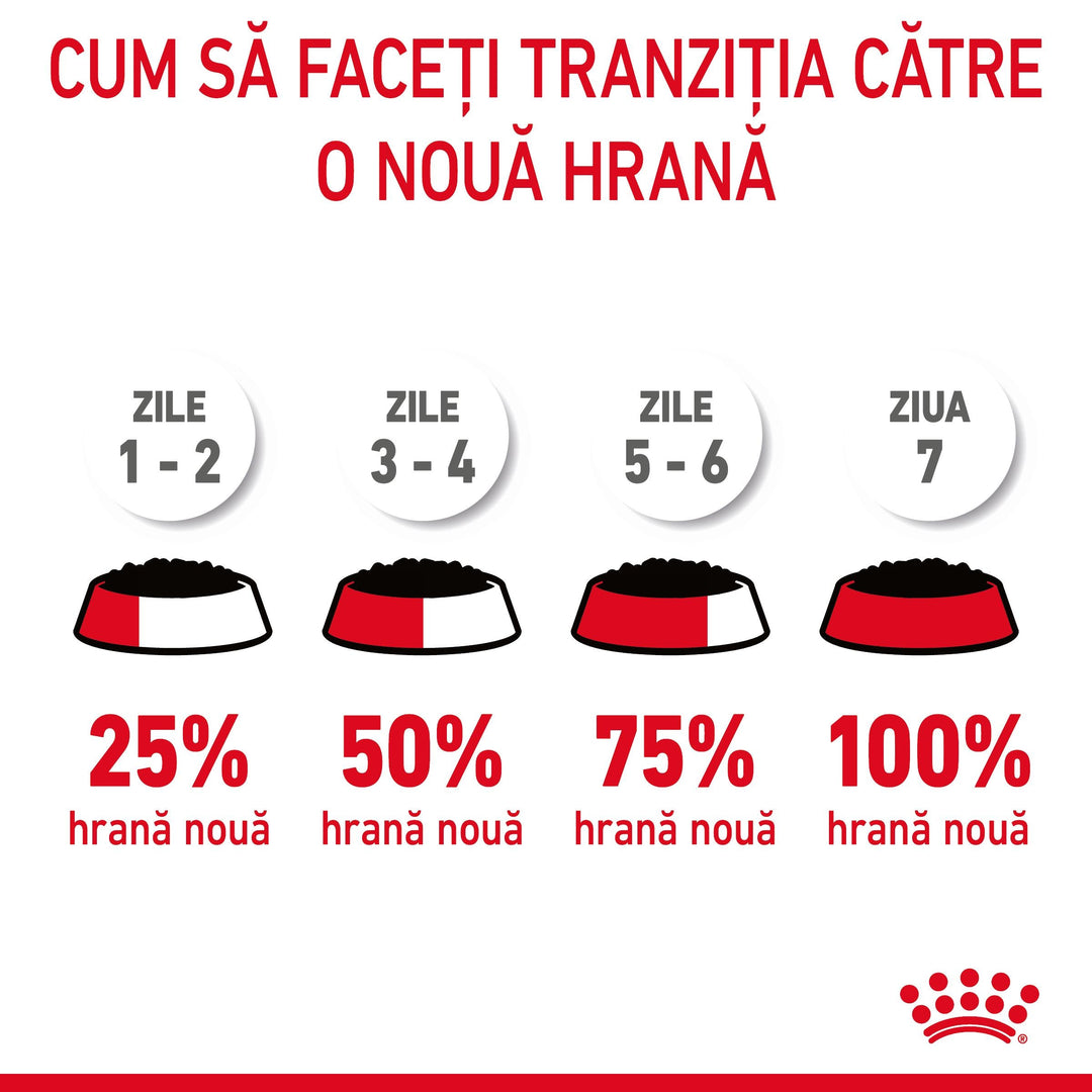 Hrana Umeda Pisici Royal Canin CW37M | 85g, Piele, Blana