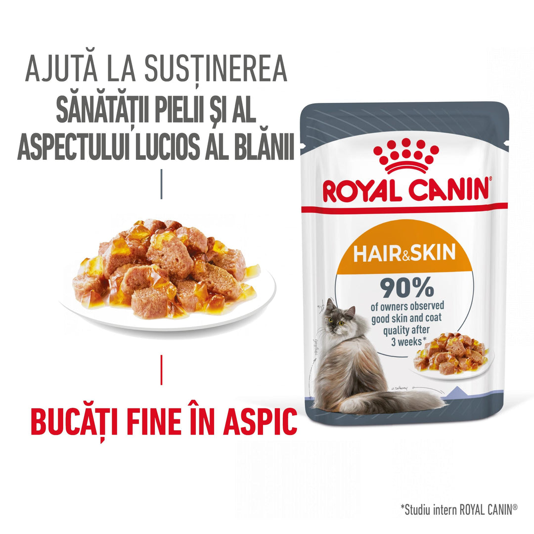 Royal Canin Hair & Skin Care Adult hrana umeda pisica, piele si blana (in aspic), 12 x 85 g