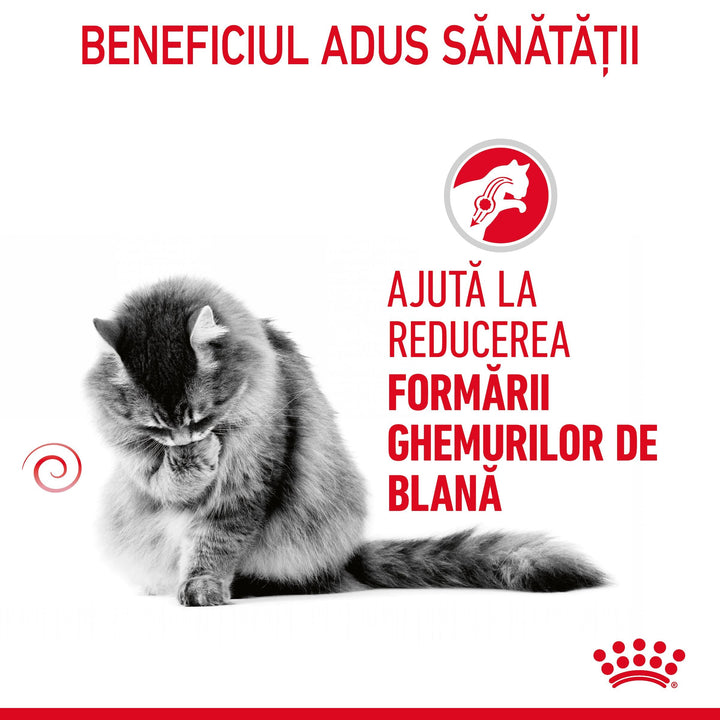 Royal Canin Hairball Care Adult hrana uscata pisica, limitarea ghemurilor de blana, 10 kg