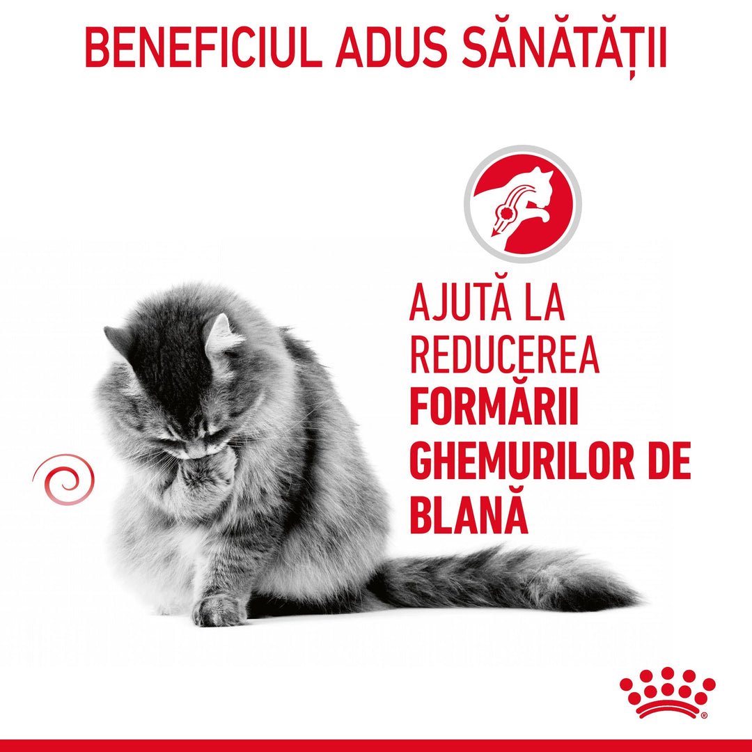 Royal Canin Hairball Care Adult hrana umeda pisica, limitarea ghemurilor de blana (in sos), 12 x 85 g