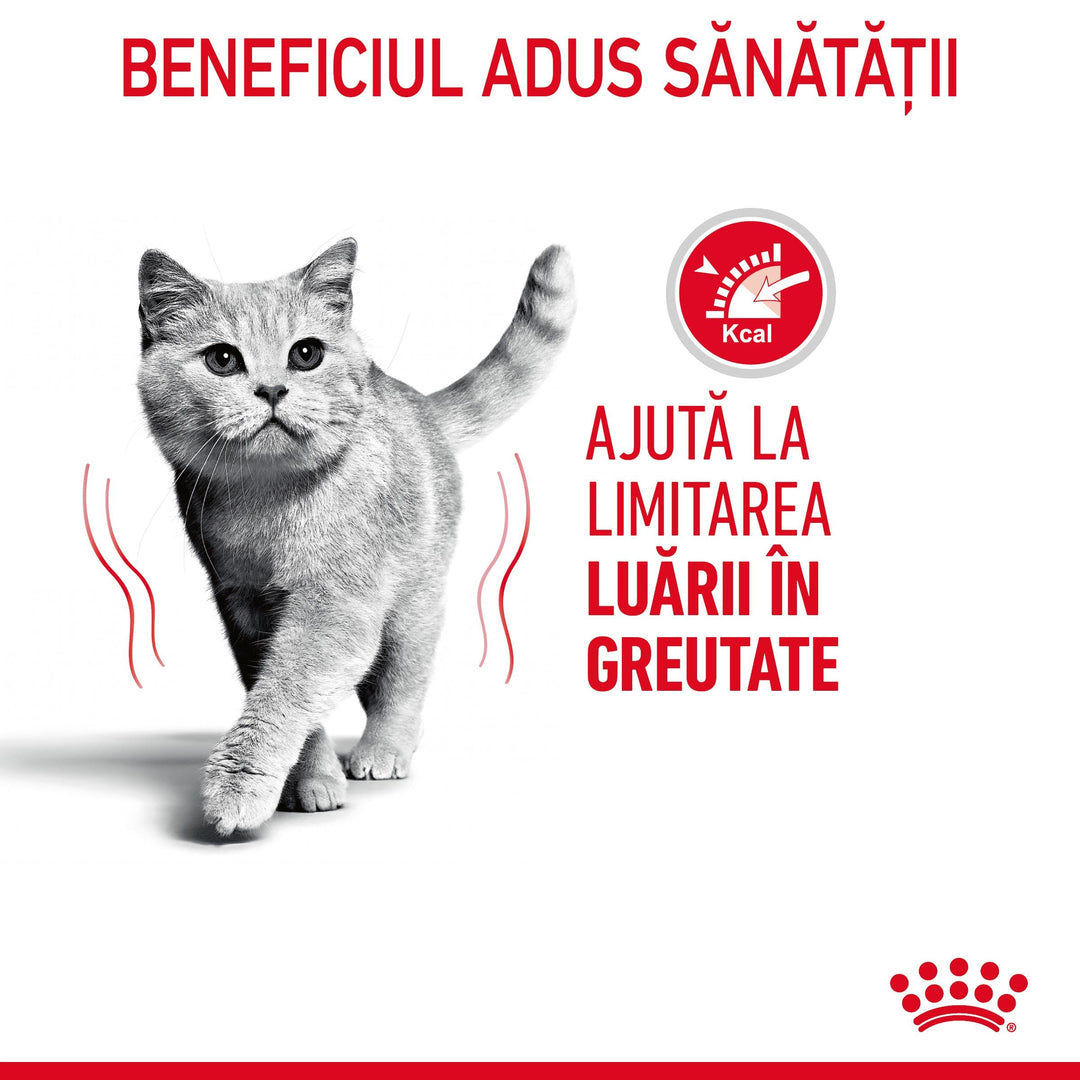 Royal Canin Light Weight Care Adult hrana uscata pisica, limitarea cresterii in greutate, 8 kg
