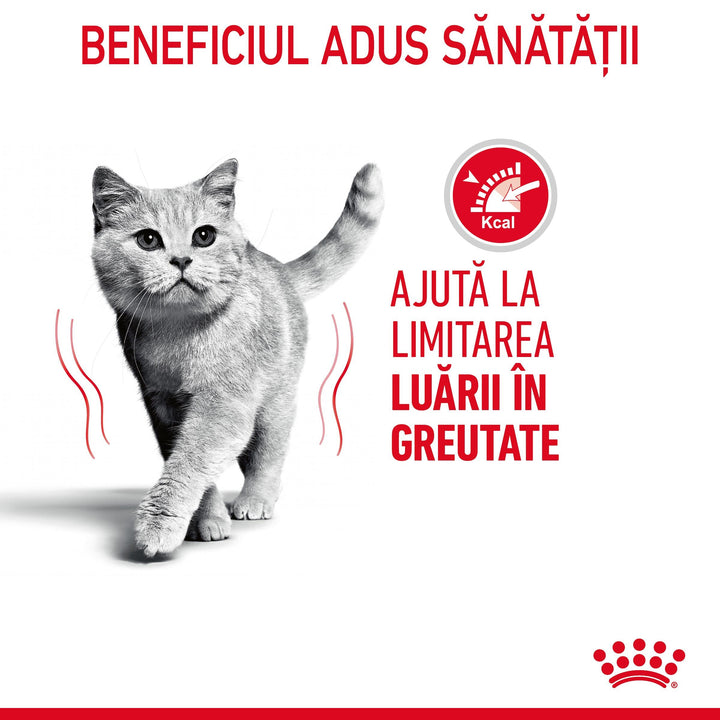 Royal Canin Light Weight Care Adult hrana uscata pisica, limitarea cresterii in greutate, 8 kg