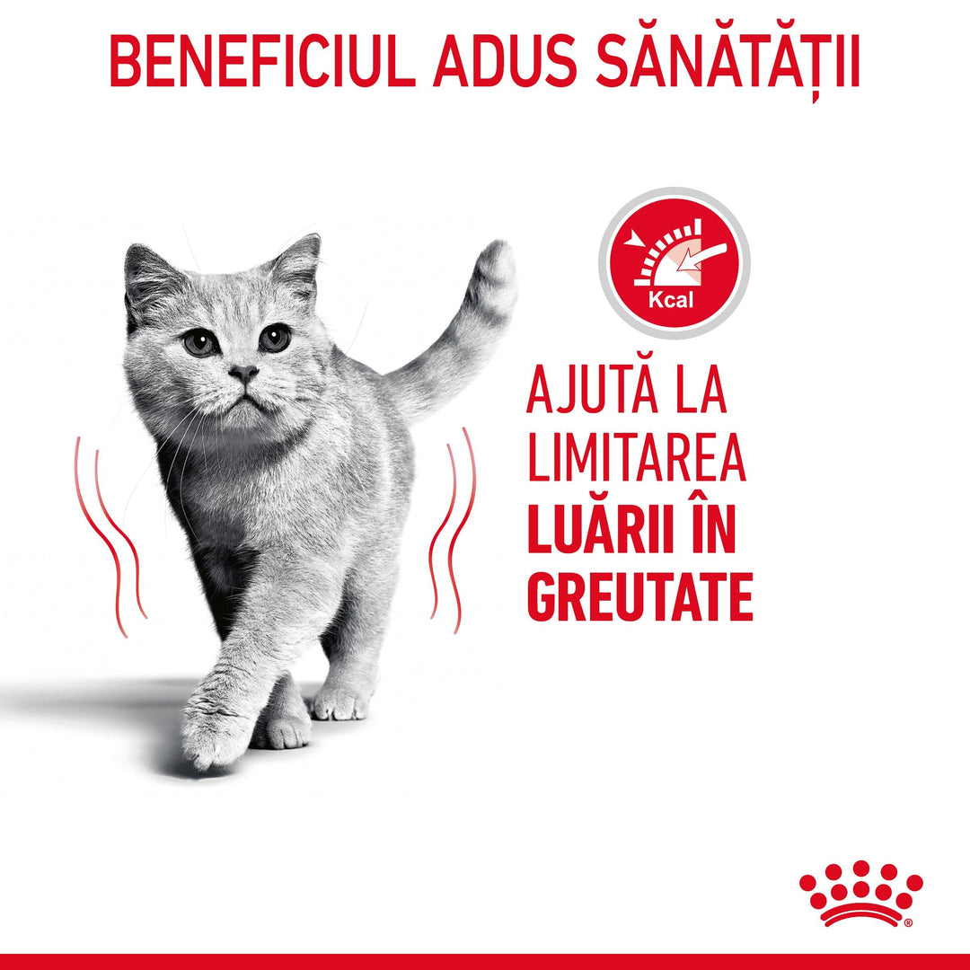 Royal Canin Light Weight Care Adult hrana umeda pisica, limitarea cresterii in greutate (in sos), 12 x 85 g