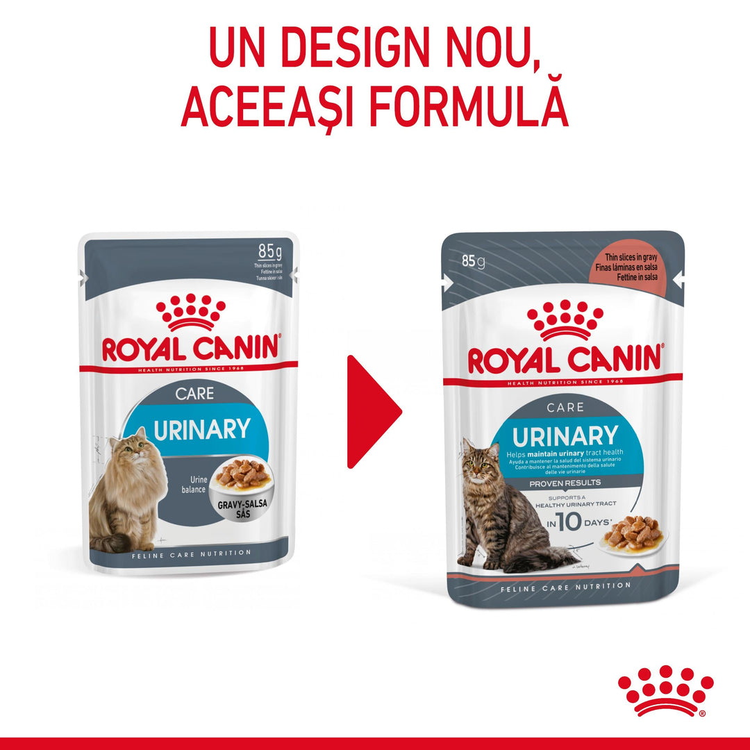 Royal Canin Urinary Care Adult hrana umeda pisica, sanatatea tractului urinar (in sos), 12 x 85 g