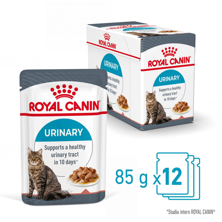 Royal Canin Urinary Care Adult hrana umeda pisica, sanatatea tractului urinar (in sos), 12 x 85 g