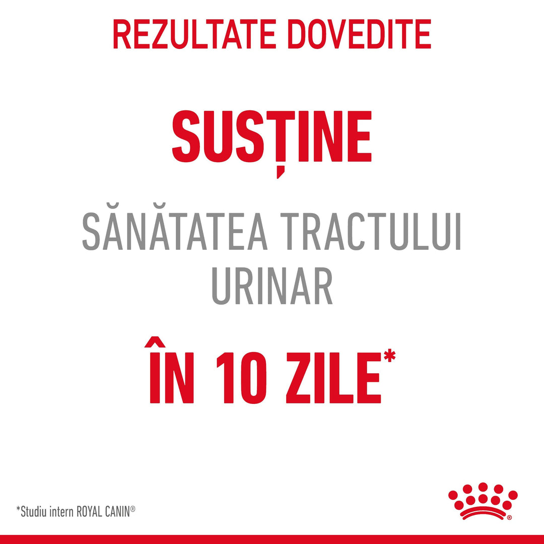 Hrana Umeda Pisici Royal Canin AK02K | Urinary, 85g