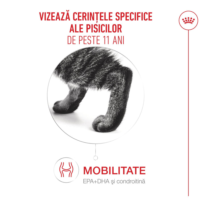 Royal Canin Ageing 11 + hrană uscată pentru pisici senioare, 4 kg