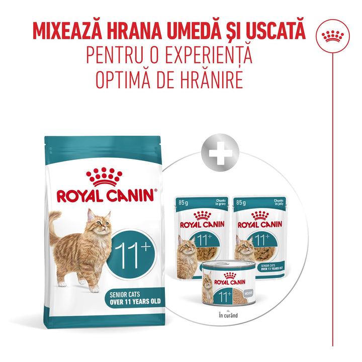 Royal Canin Ageing 11+ hrană uscată pentru pisici senioare, 2 kg