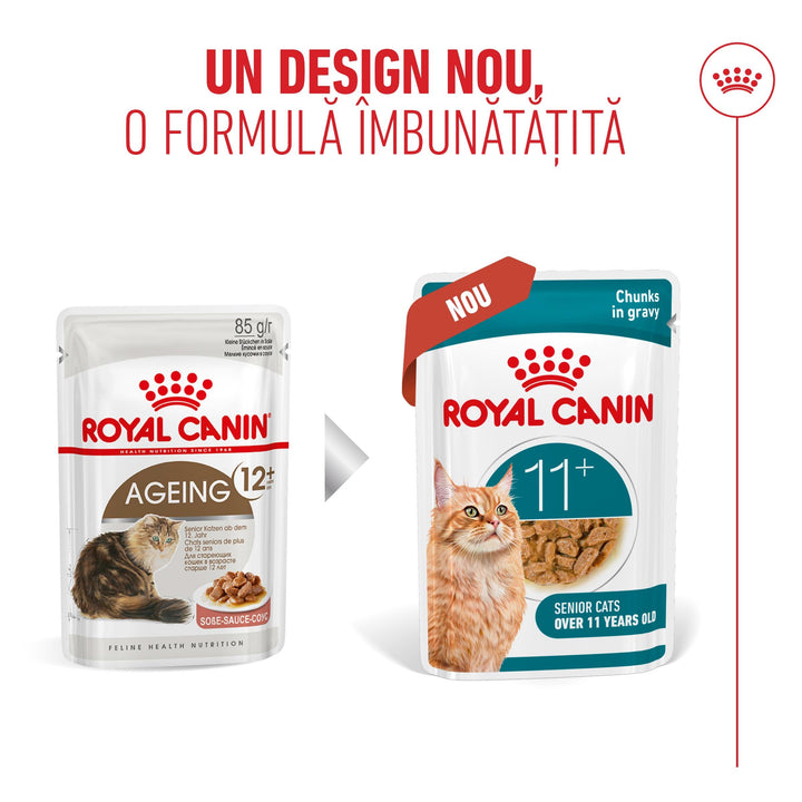 Royal Canin Ageing 11+ hrană umedă pentru pisici senioare (în sos), 12 x 85 g