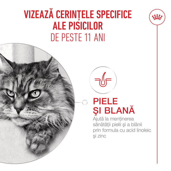 Royal Canin Ageing 11+ hrană umedă pentru pisici senioare (în sos), 12 x 85 g