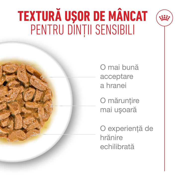 Royal Canin Ageing 11+ hrană umedă pentru pisici senioare (în sos), 12 x 85 g