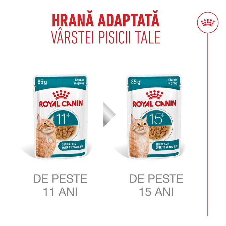 Hrana Umeda Pisici Royal Canin R601188 | Ageing 11+, 85g