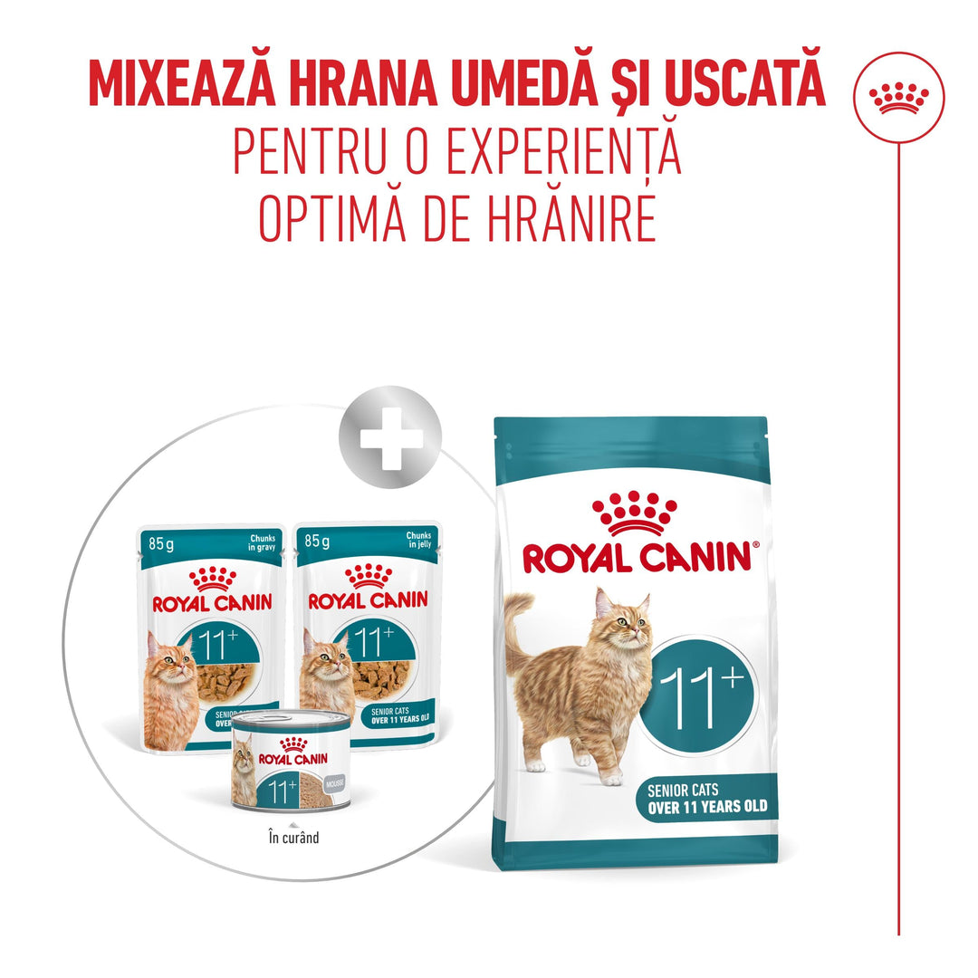 Hrana Umeda Pisici Royal Canin R601188 | Ageing 11+, 85g