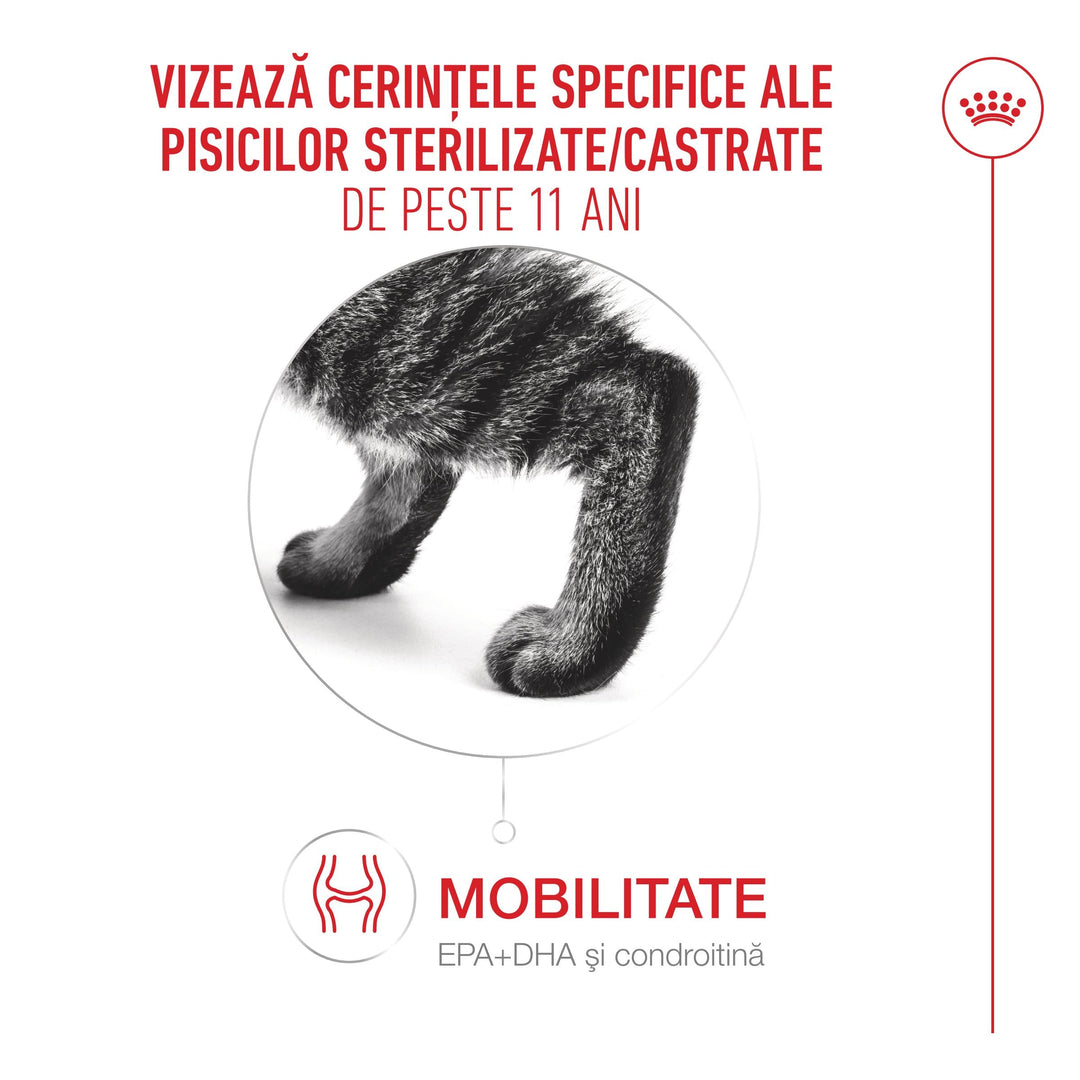 Royal Canin Ageing Sterilised 11 + hrană uscată pentru pisici senioare sterilizate, 4 kg