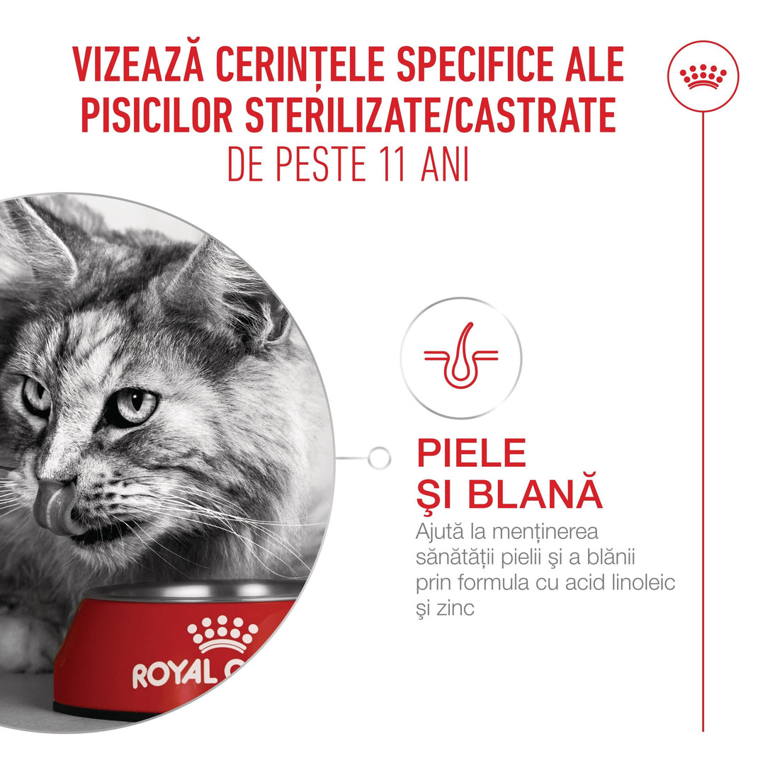 Royal Canin Ageing Sterilised 11 + hrană uscată pentru pisici senioare sterilizate, 400 g