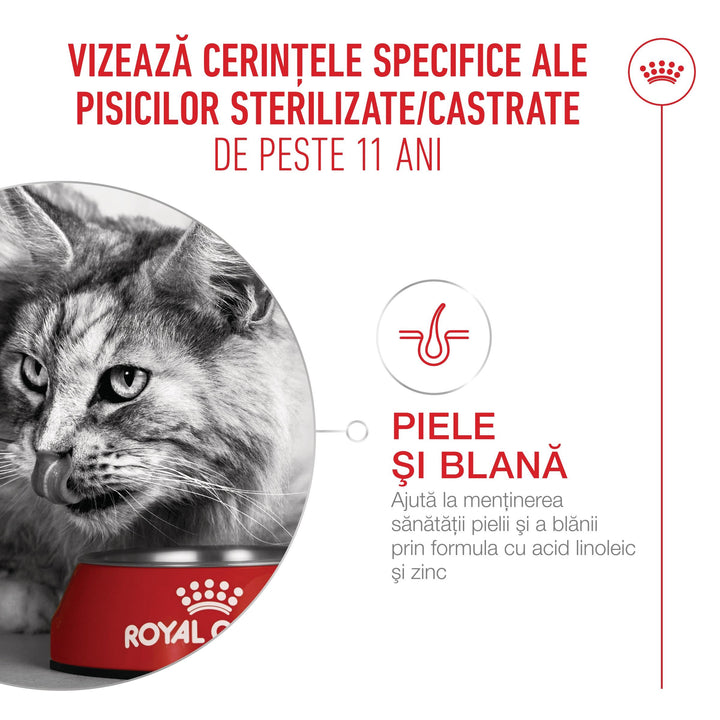 Royal Canin Ageing Sterilised 11 + hrană uscată pentru pisici senioare sterilizate, 400 g